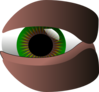 Cartoon Green Eye Clip Art